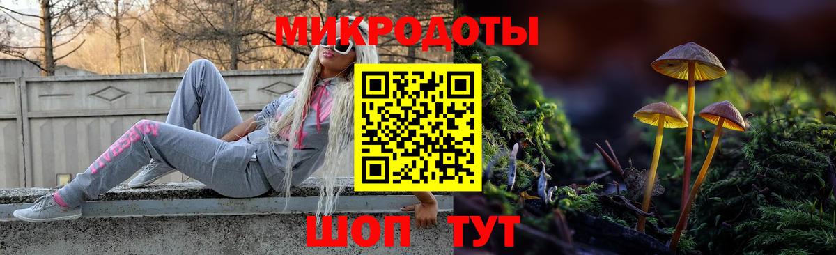 Галлюциногенные грибы Cubensis Кондопога