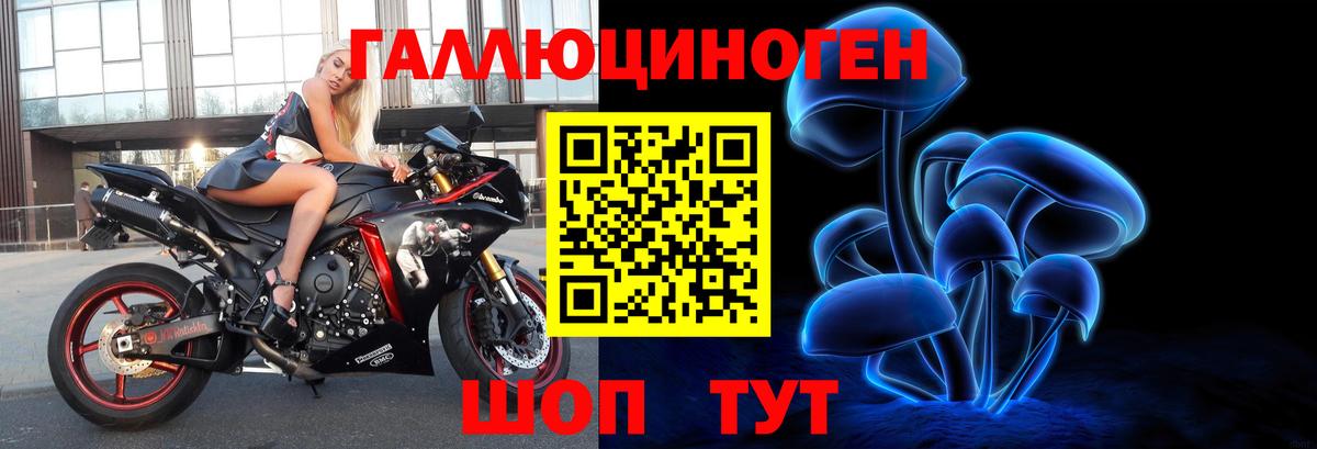 Кондопога  Псилоцибиновые грибы прущие грибы  Псилоцибиновые грибы Psilocybe  Вход с VPN 